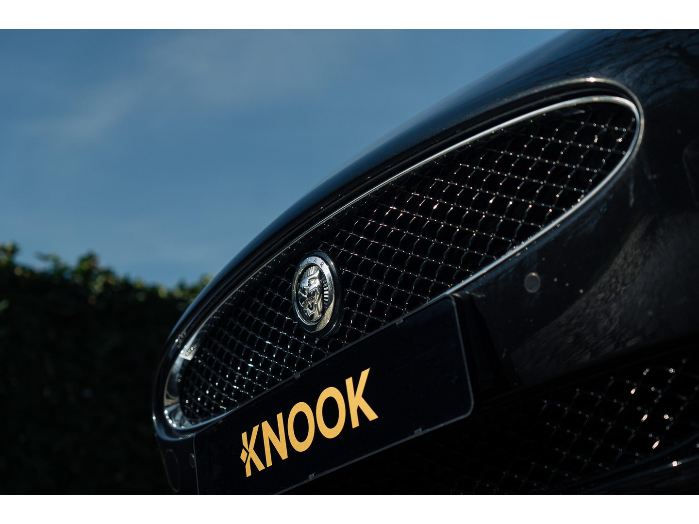 Jaguar