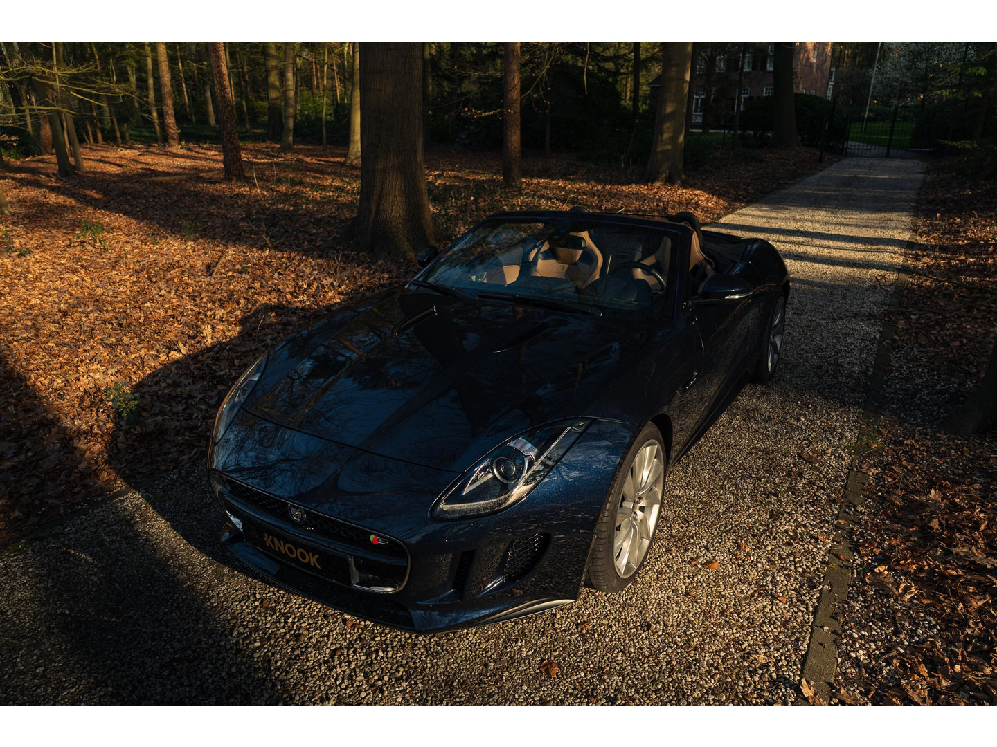 Jaguar Jaguar
