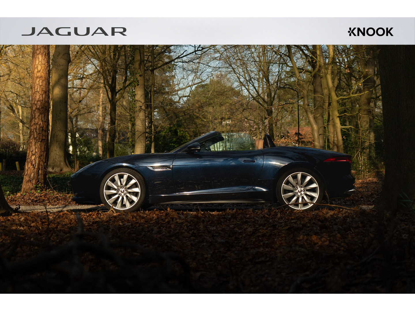 Jaguar Jaguar