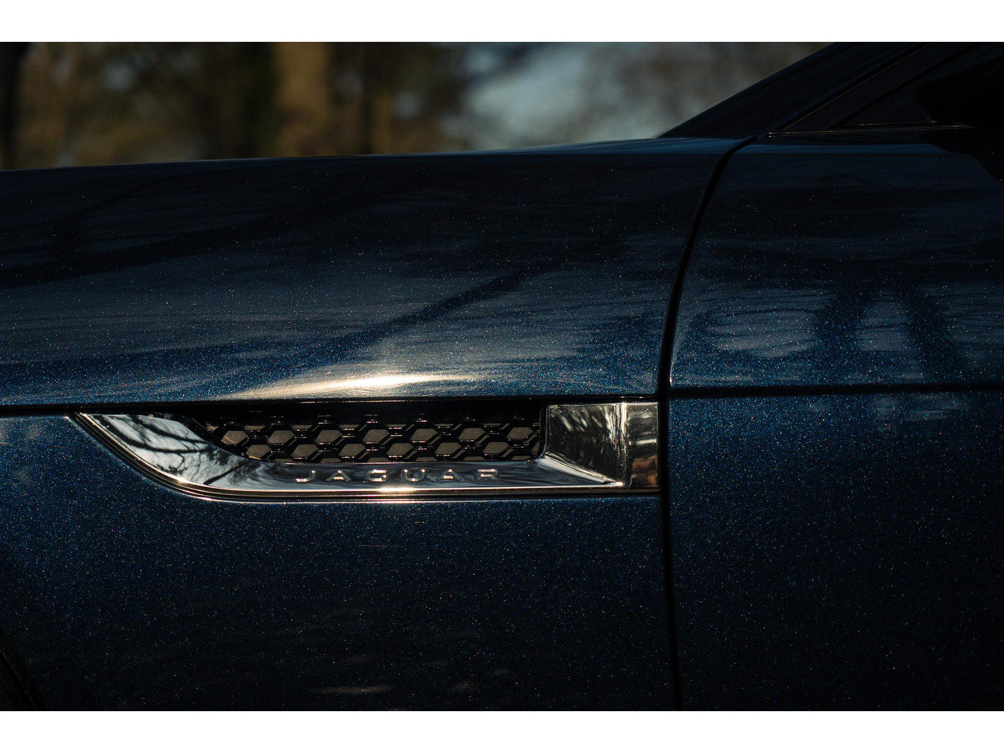 Jaguar Jaguar