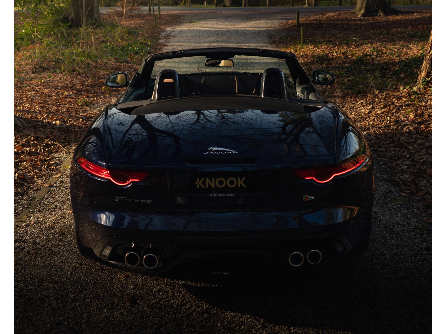 Jaguar Jaguar