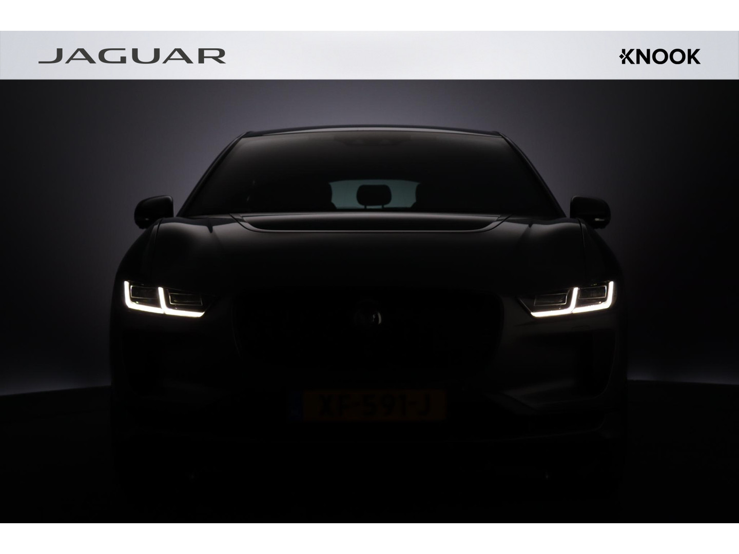 Jaguar Jaguar