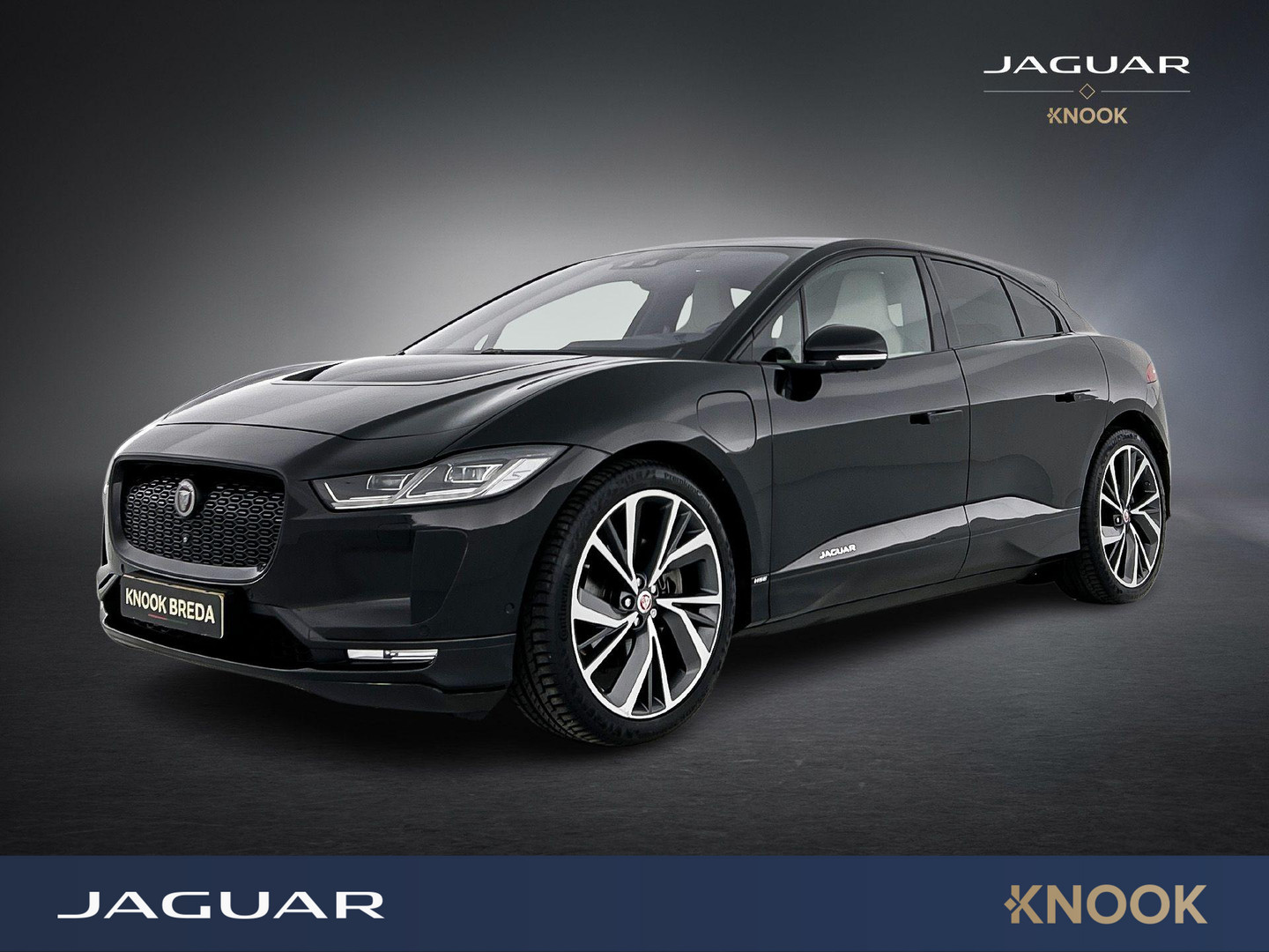 Jaguar Jaguar