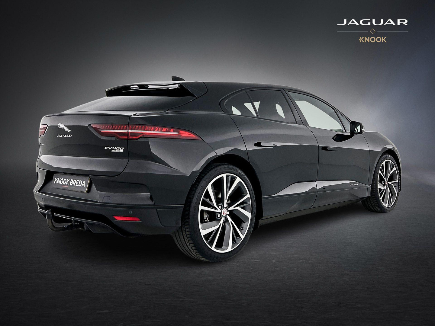 Jaguar Jaguar