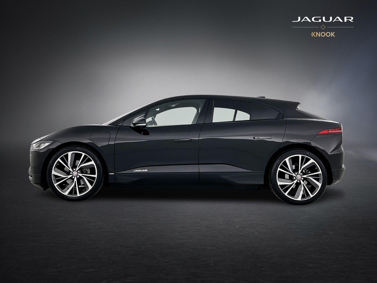 Jaguar Jaguar
