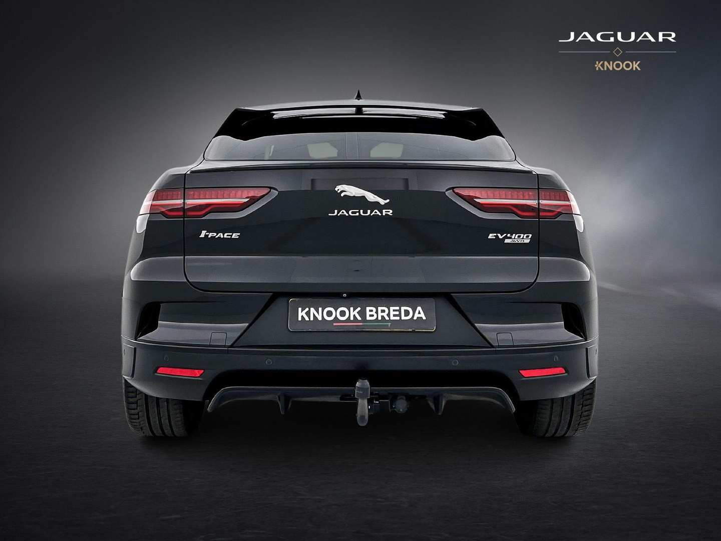 Jaguar Jaguar