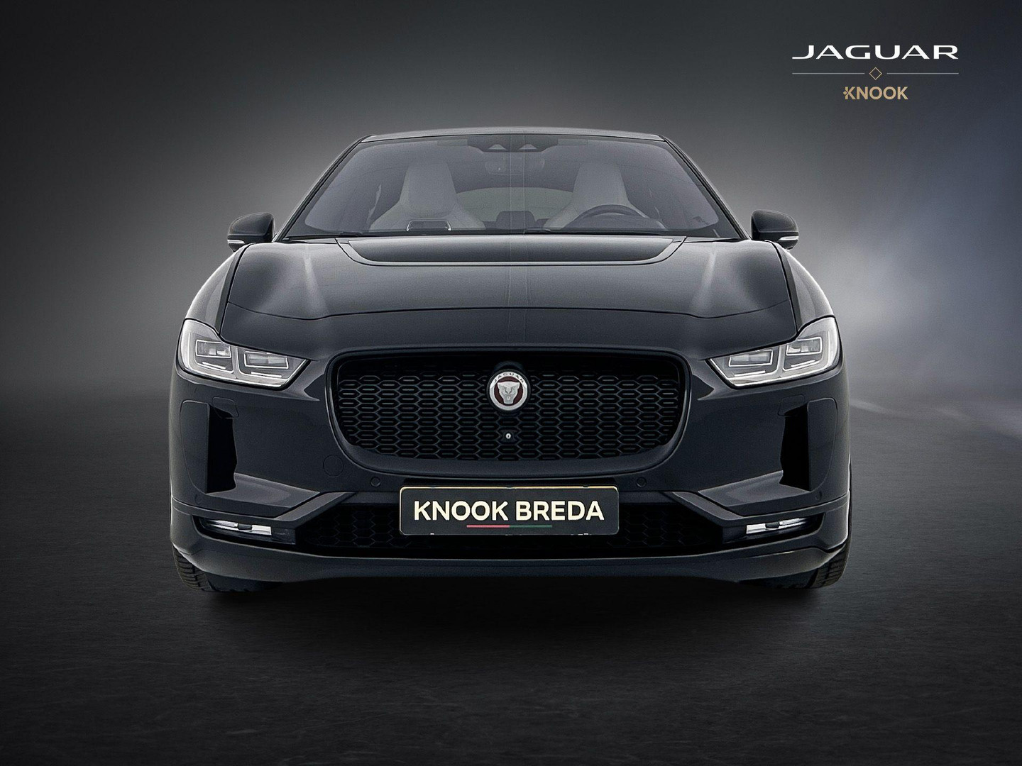 Jaguar Jaguar