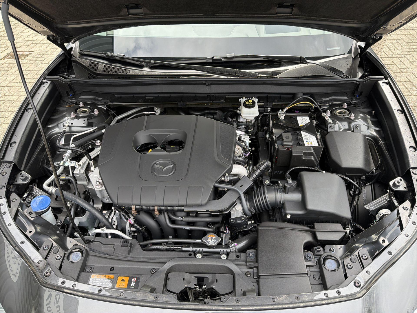 Mazda