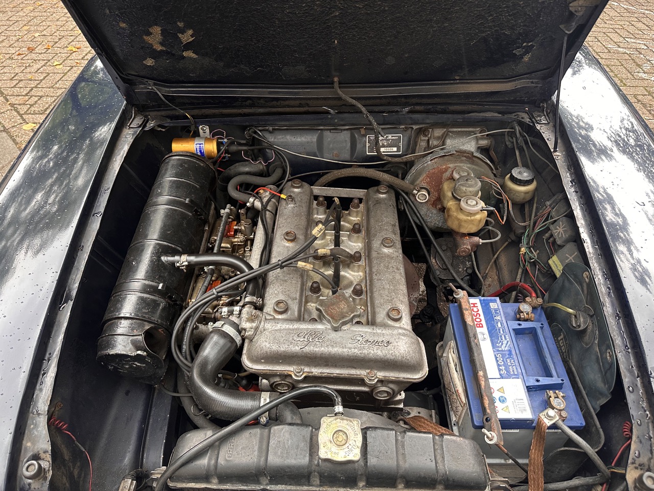 Alfa Romeo Alfa Romeo