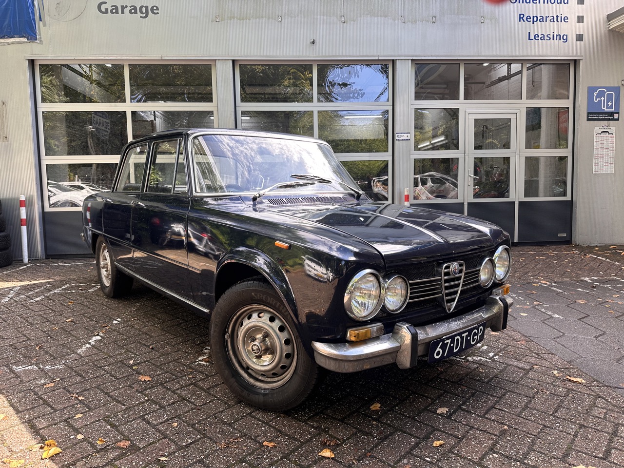 Alfa Romeo Alfa Romeo