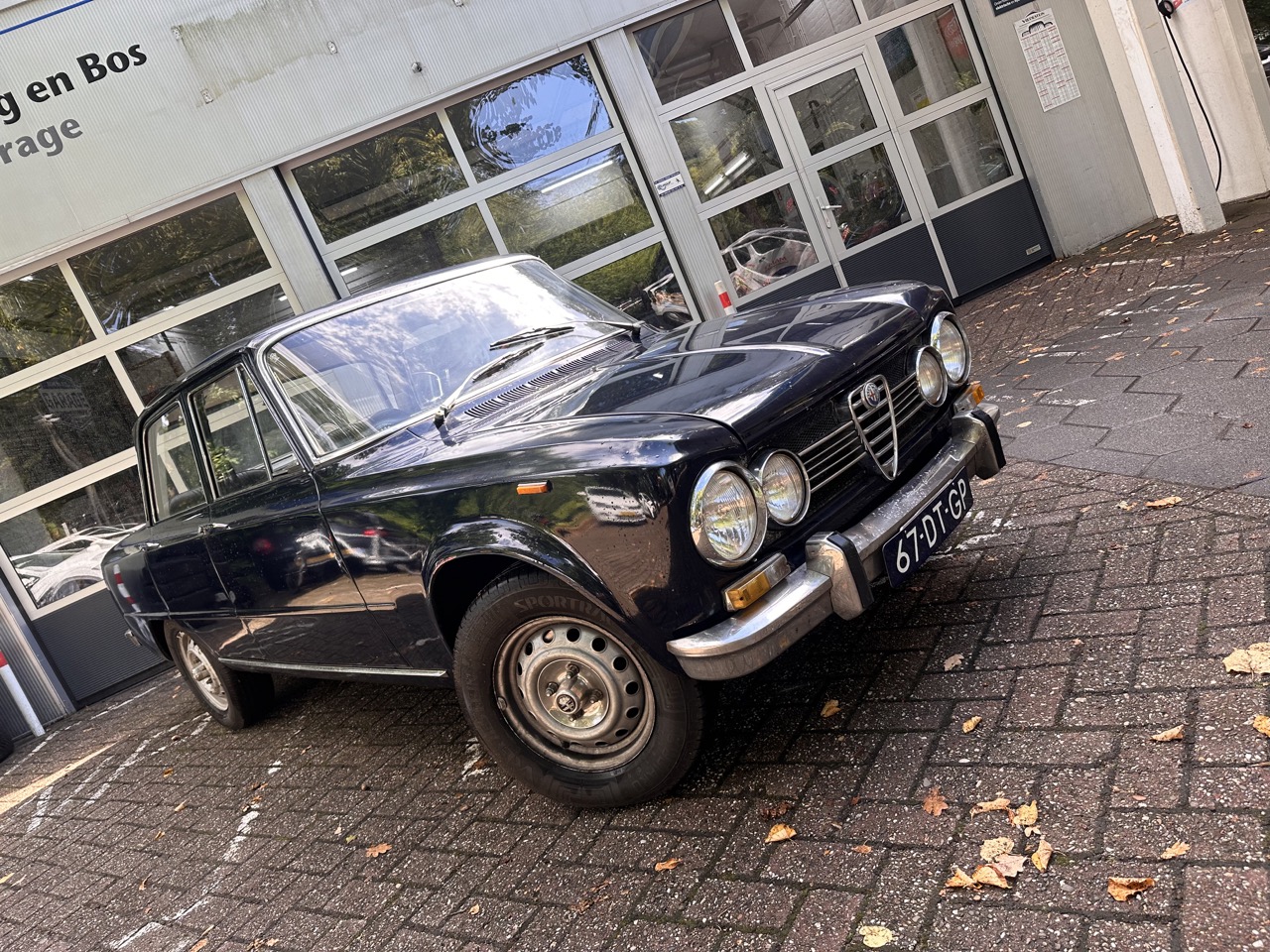 Alfa Romeo Alfa Romeo