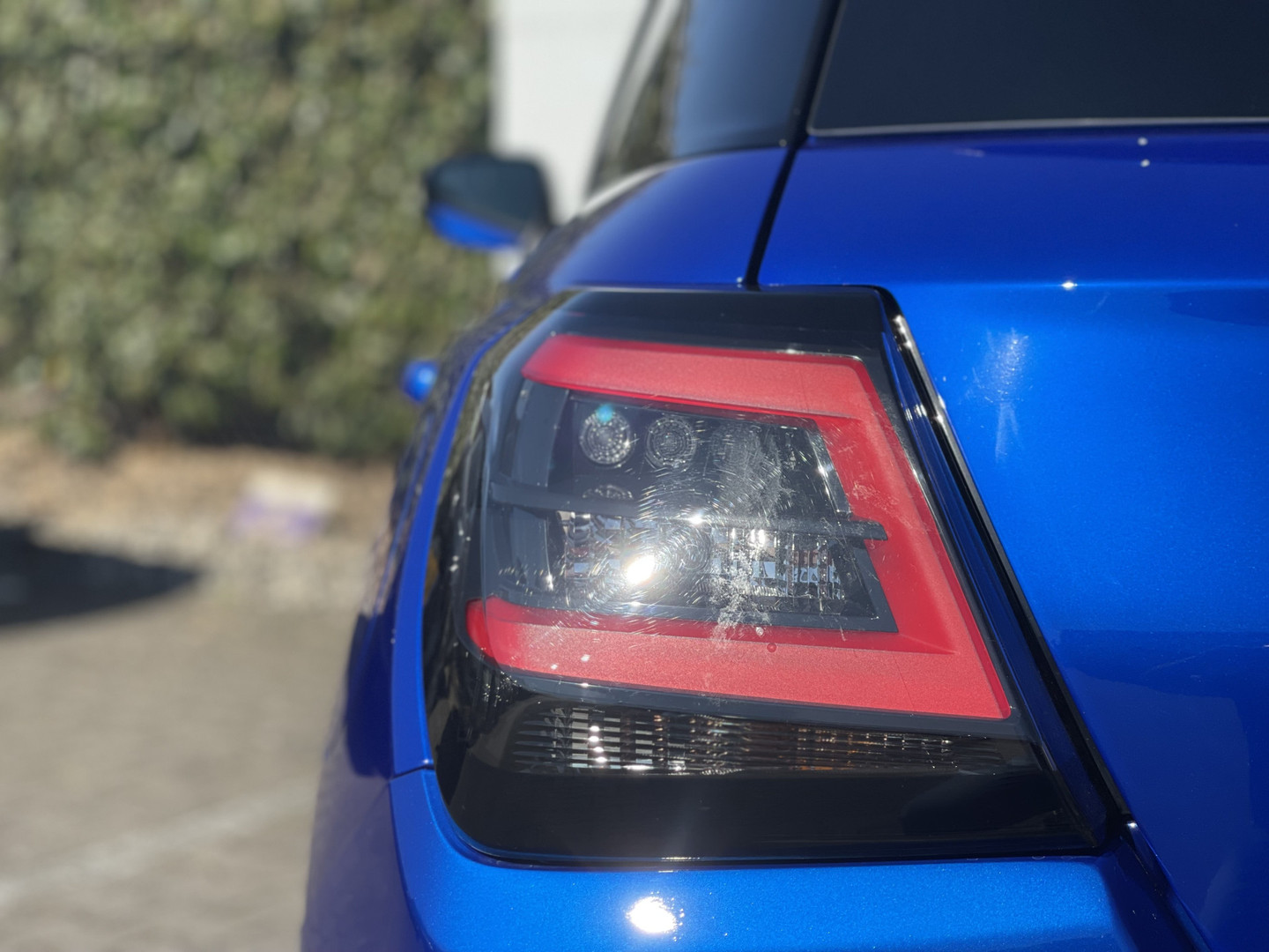 Suzuki Suzuki