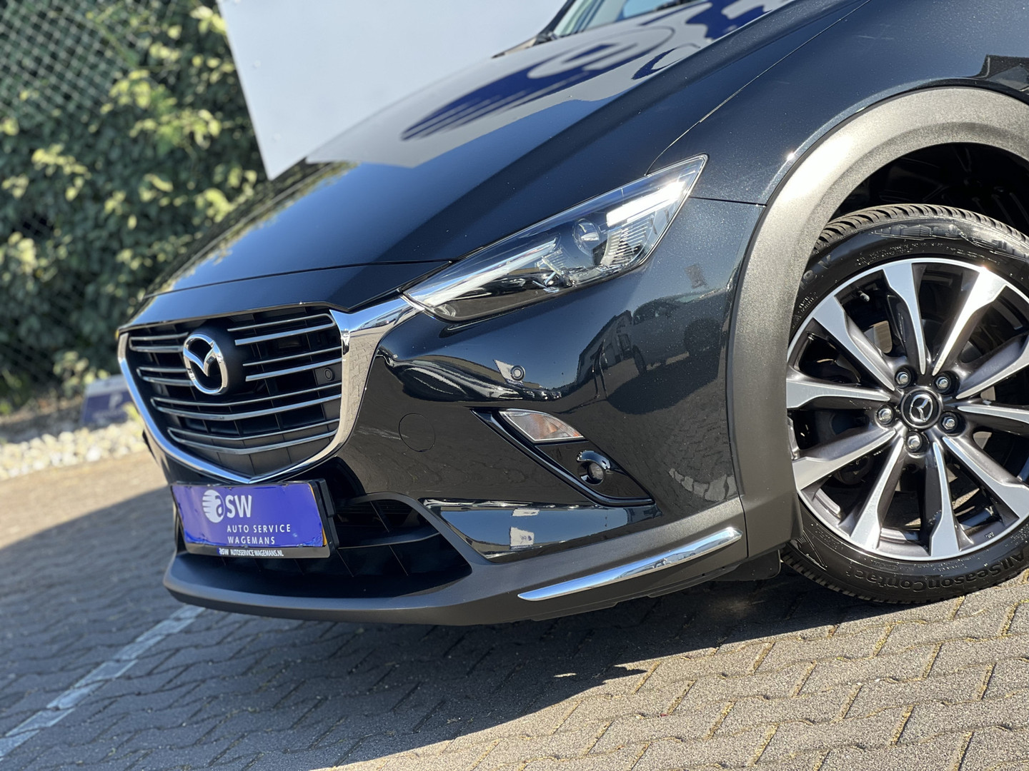 Mazda Mazda