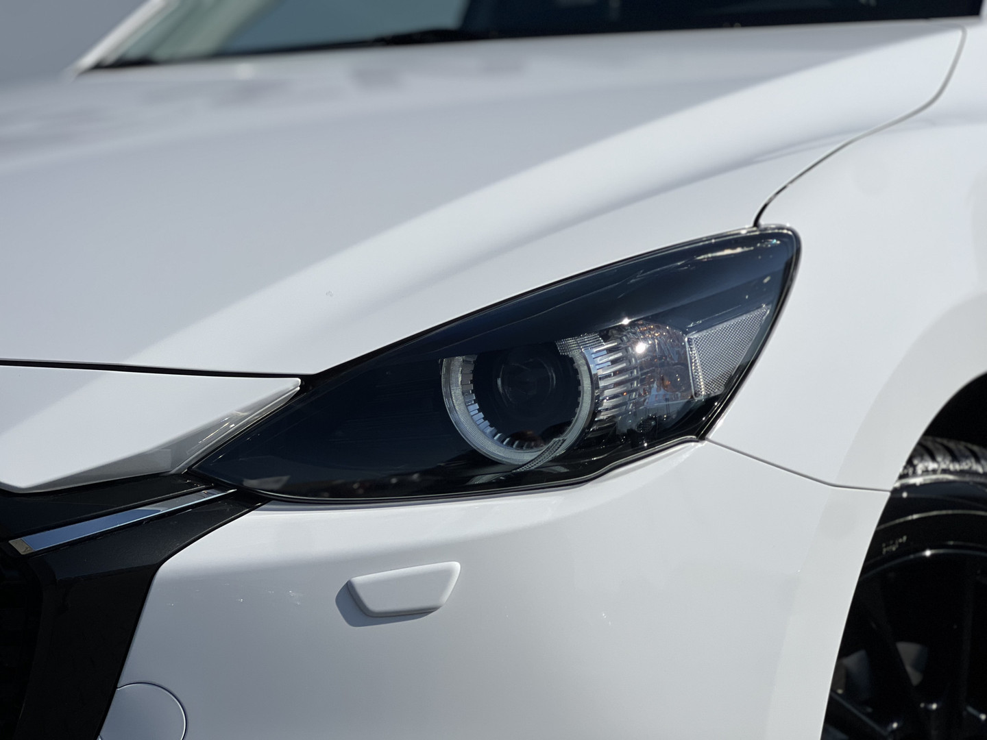 Mazda Mazda