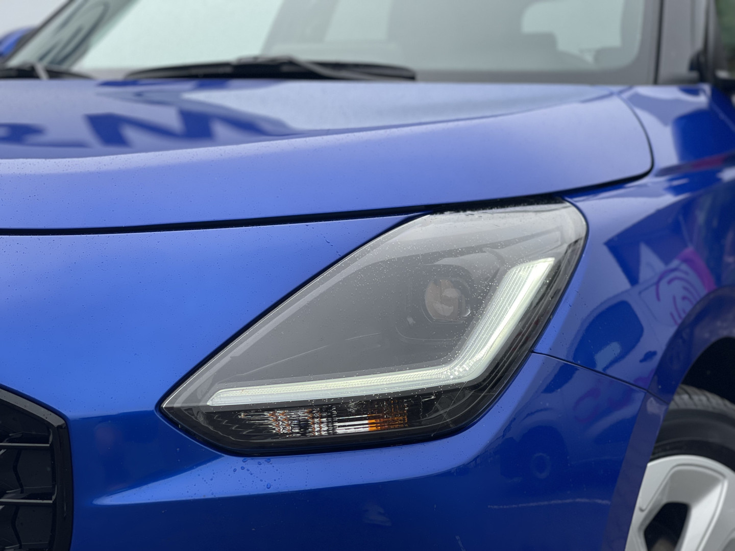 Suzuki Suzuki