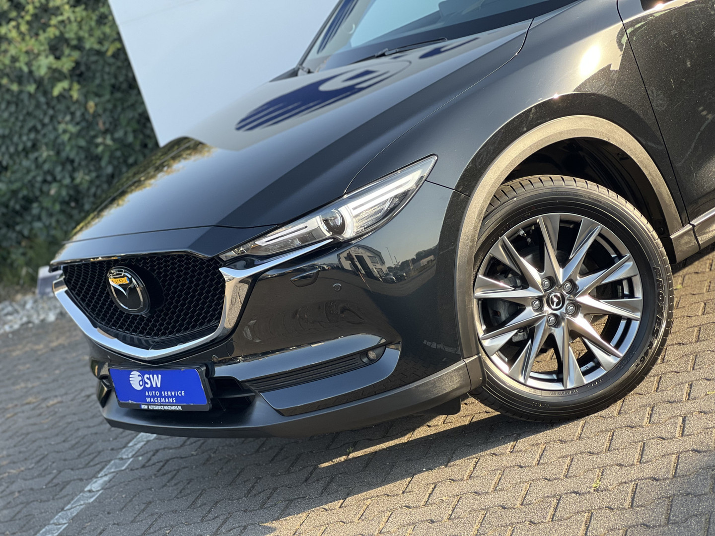 Mazda Mazda