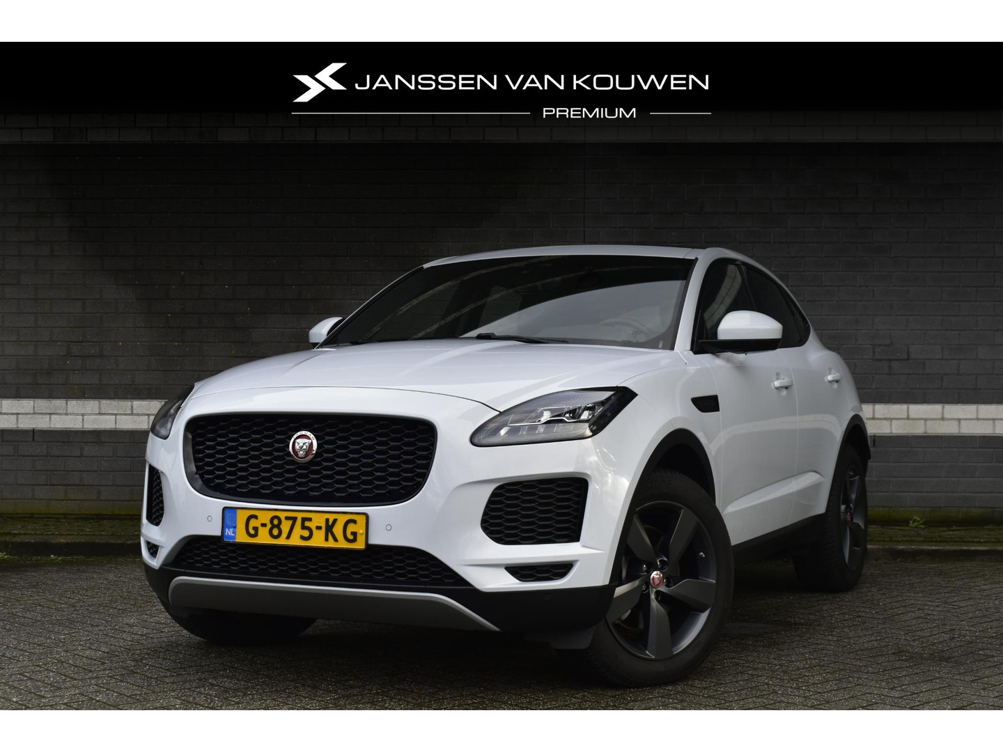 Jaguar Jaguar