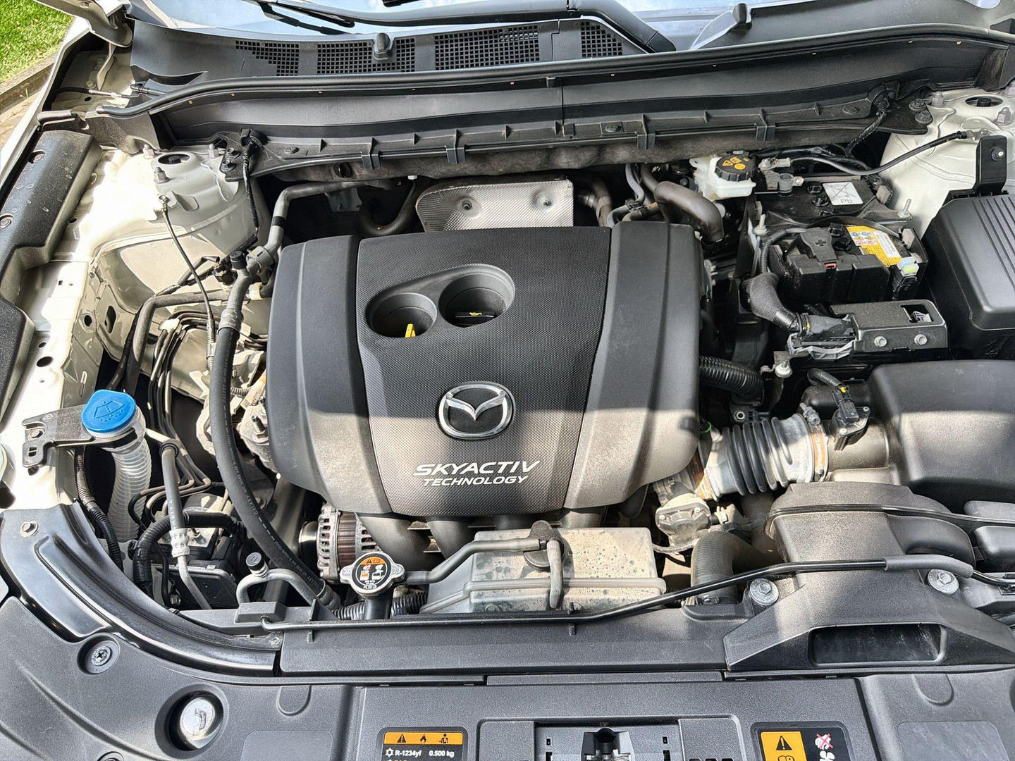 Mazda Mazda
