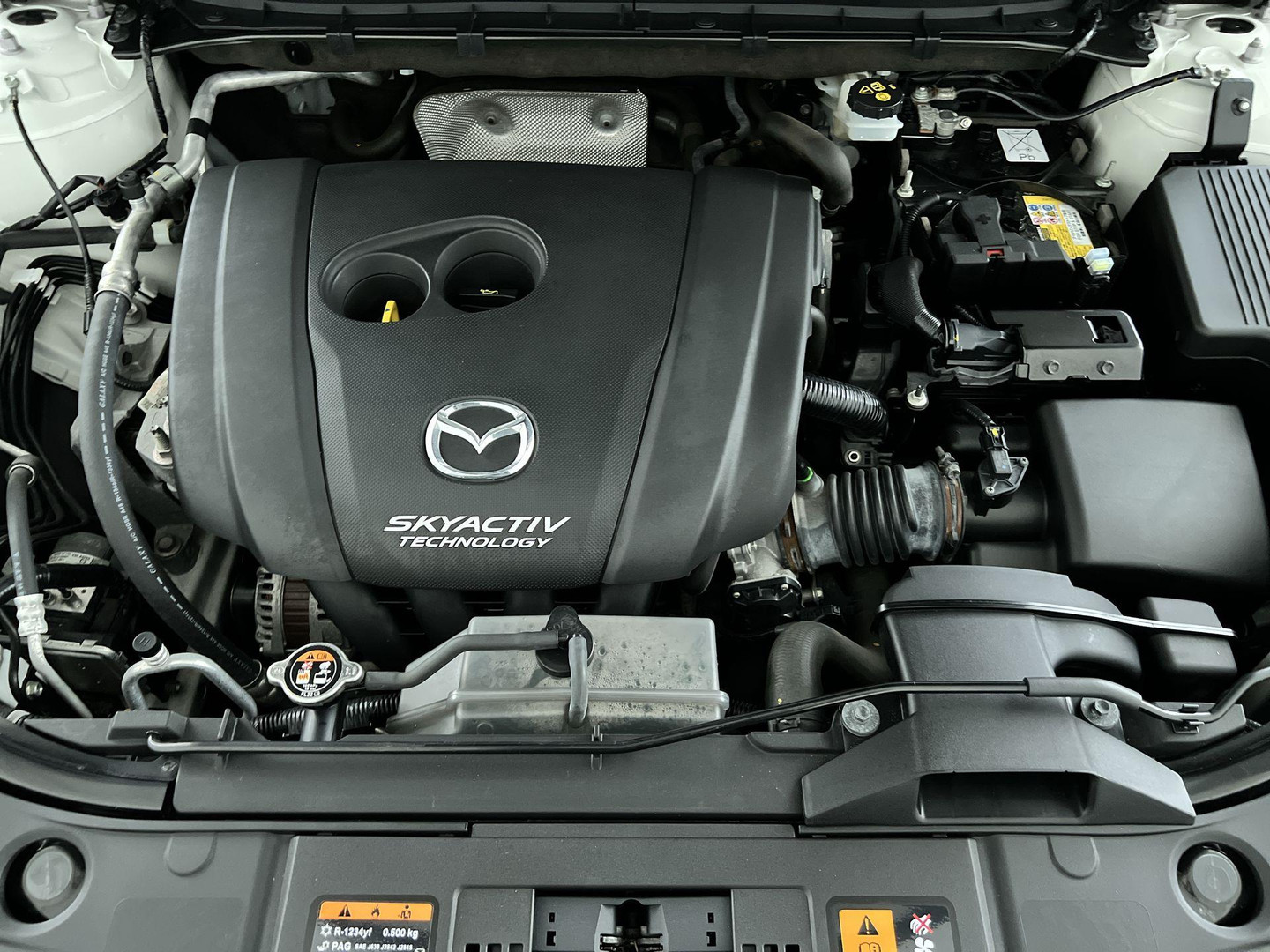 Mazda Mazda