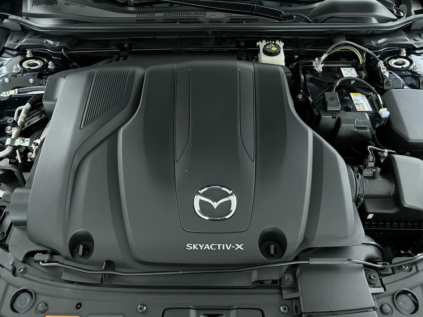 Mazda Mazda