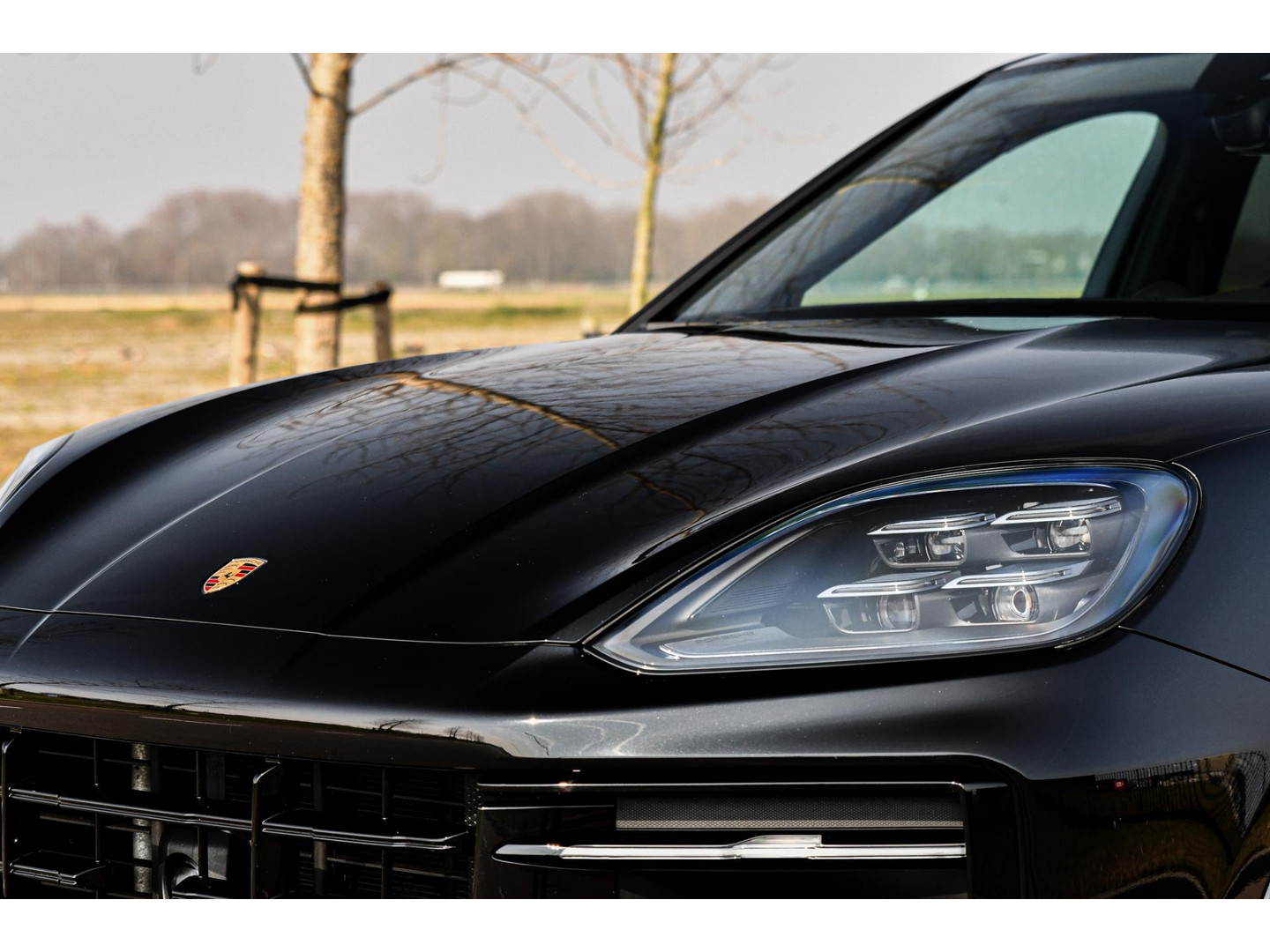 Porsche Porsche