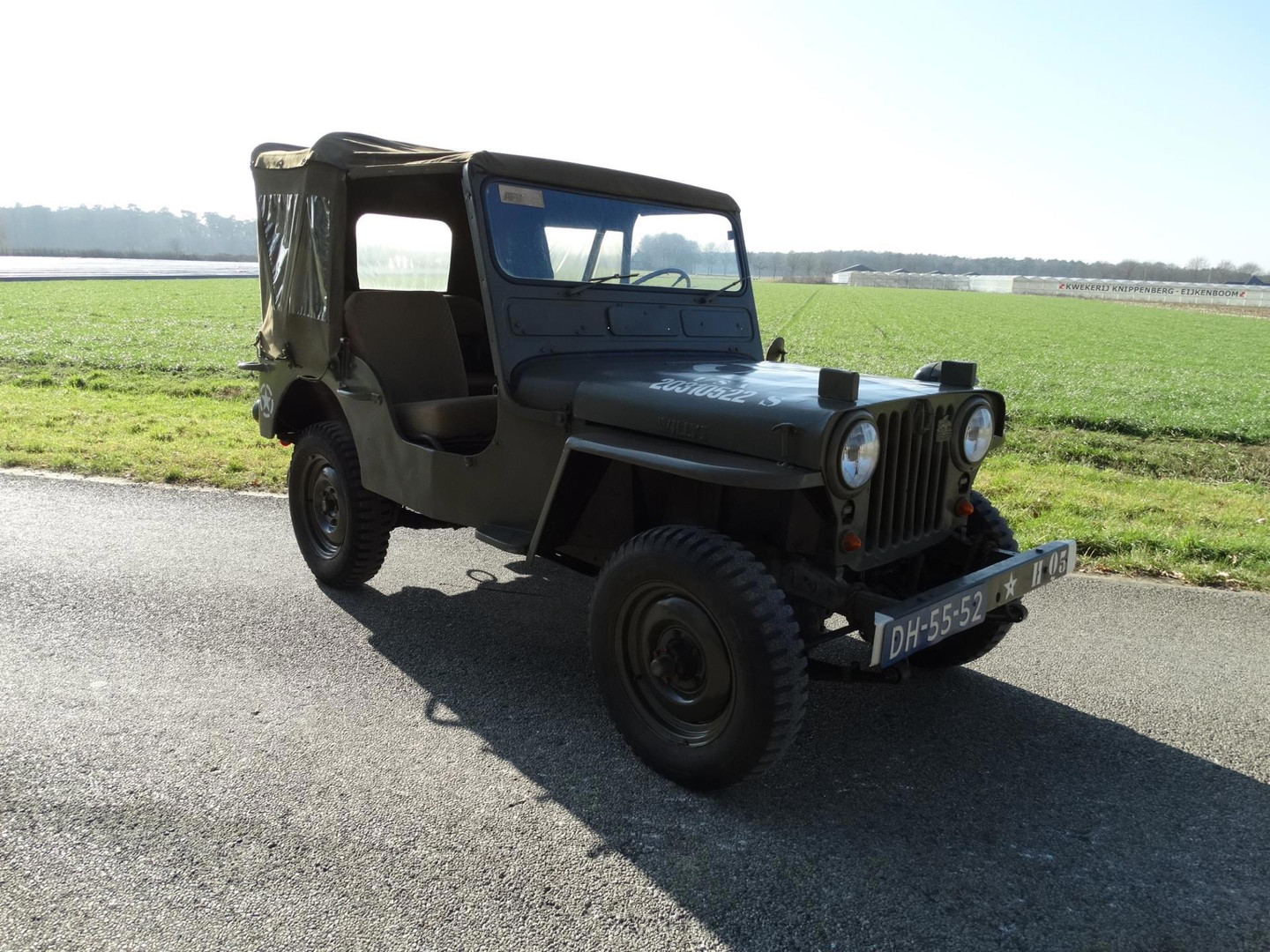 Willys