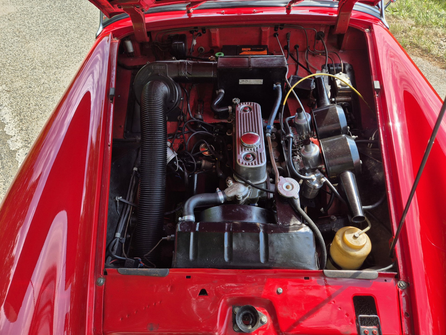 MG