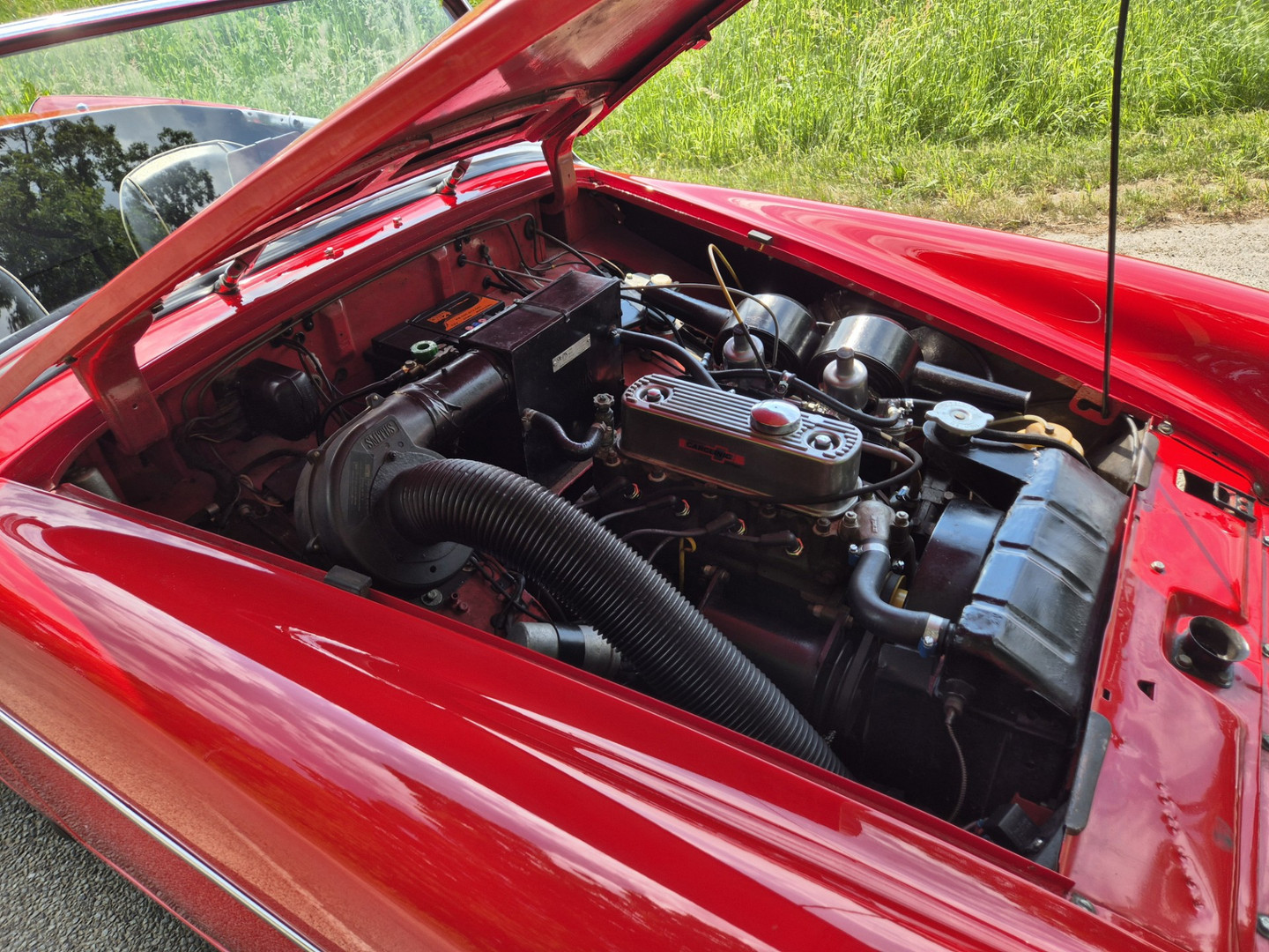 MG