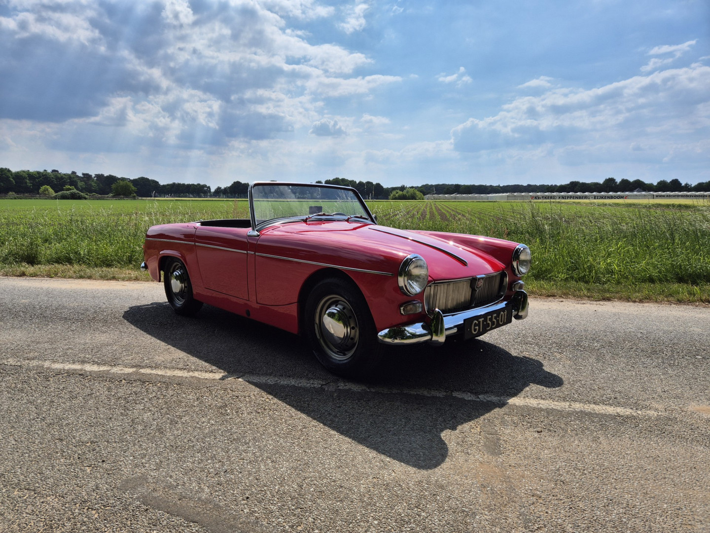 MG