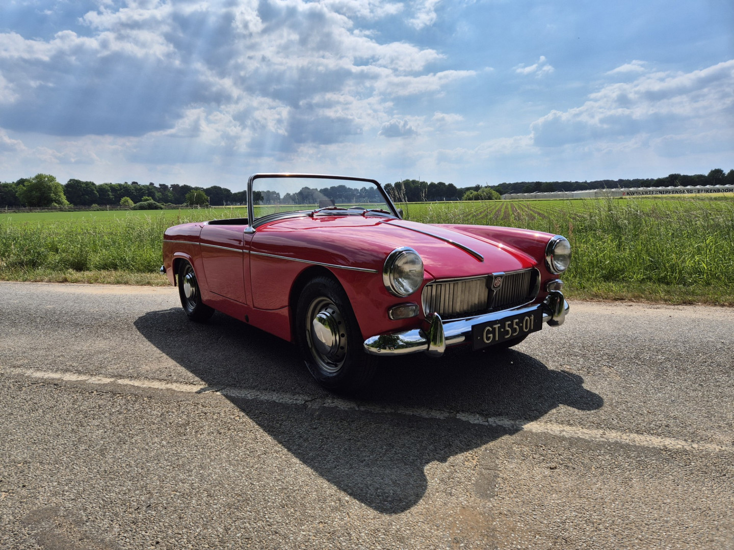MG