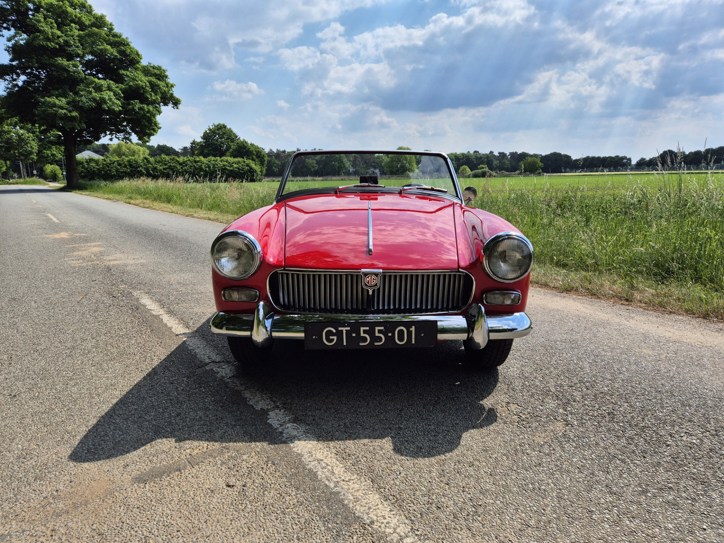 MG