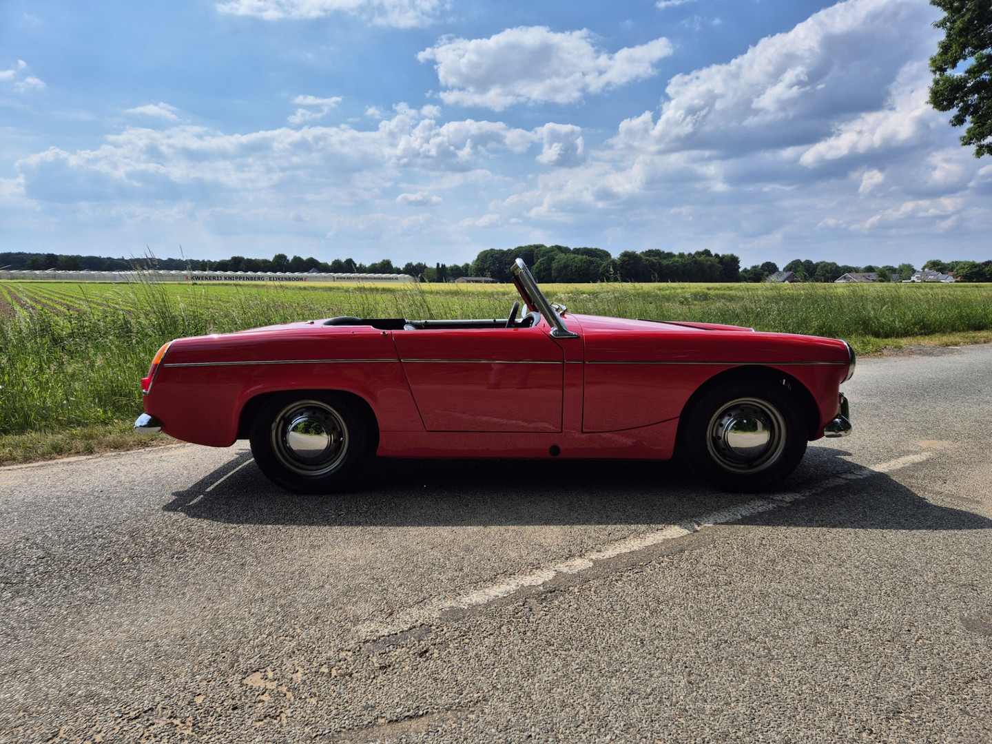 MG