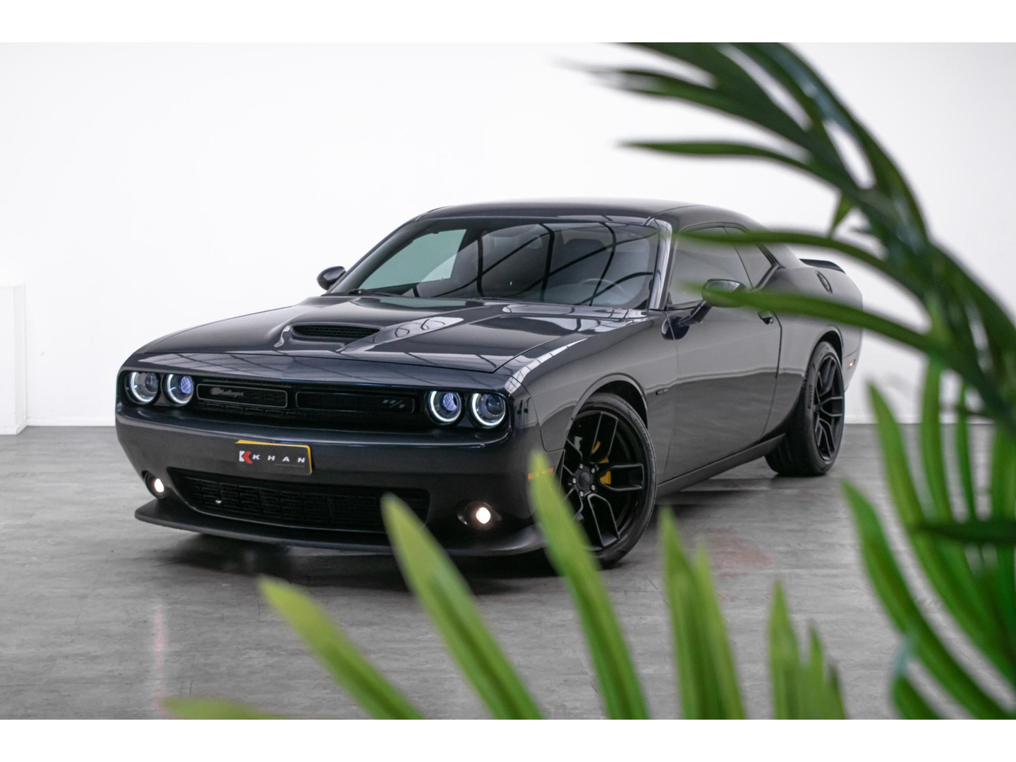 Dodge