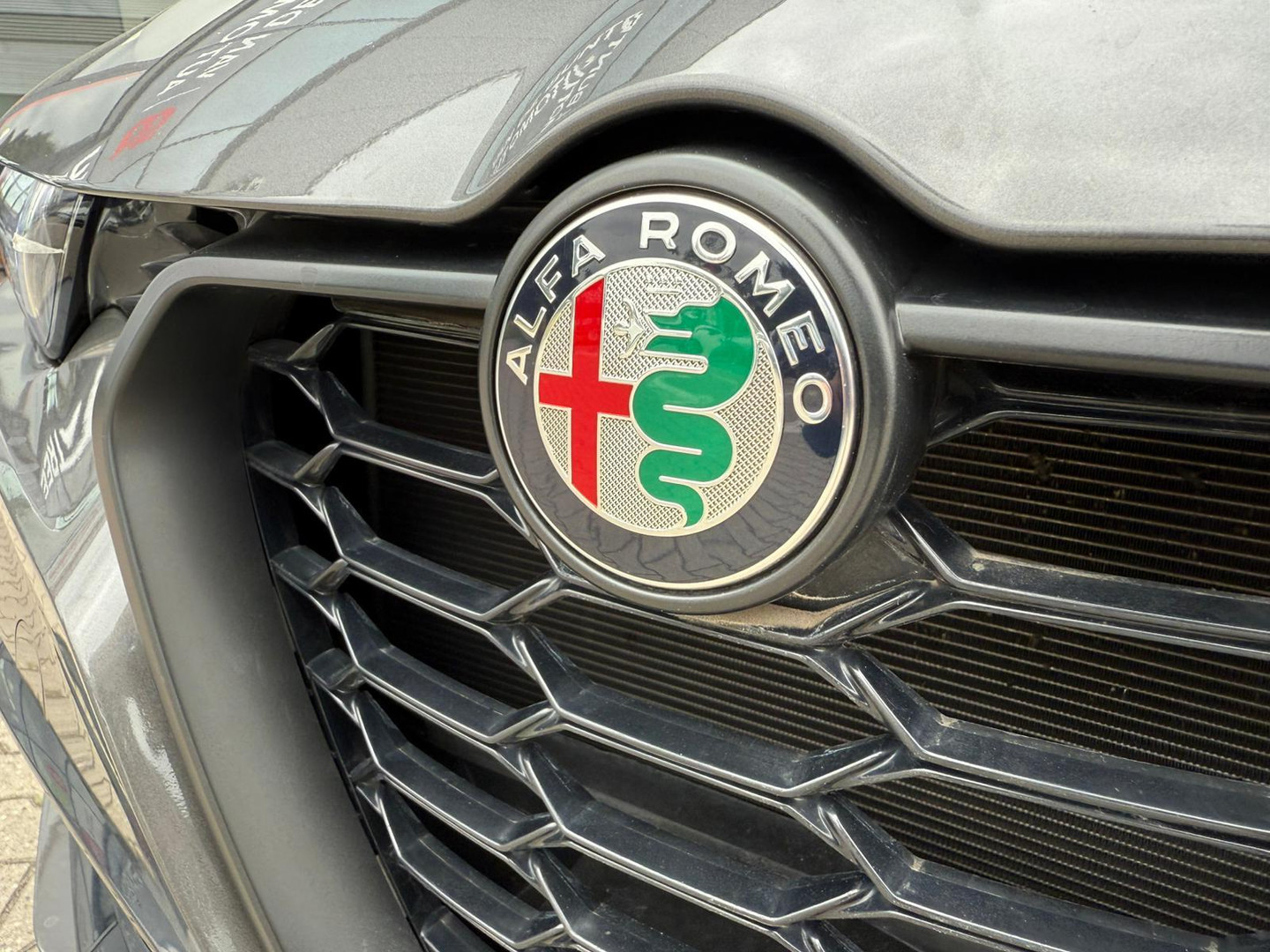 Alfa Romeo Alfa Romeo