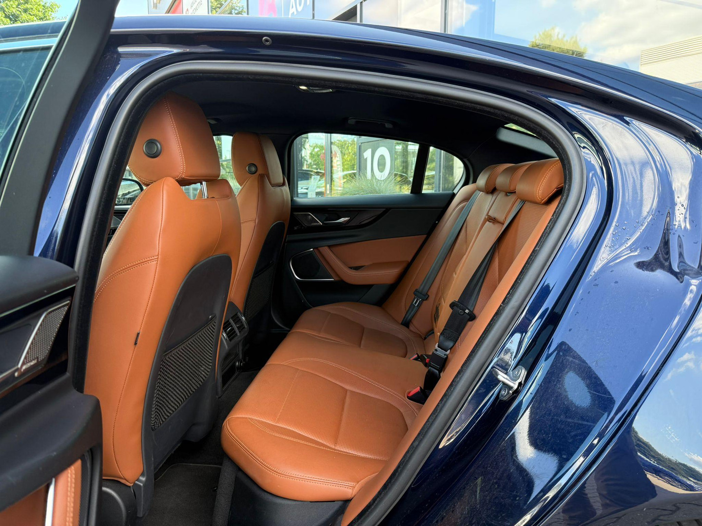 Jaguar Jaguar