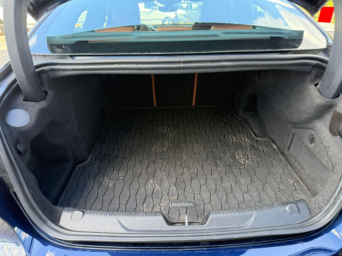 Jaguar Jaguar