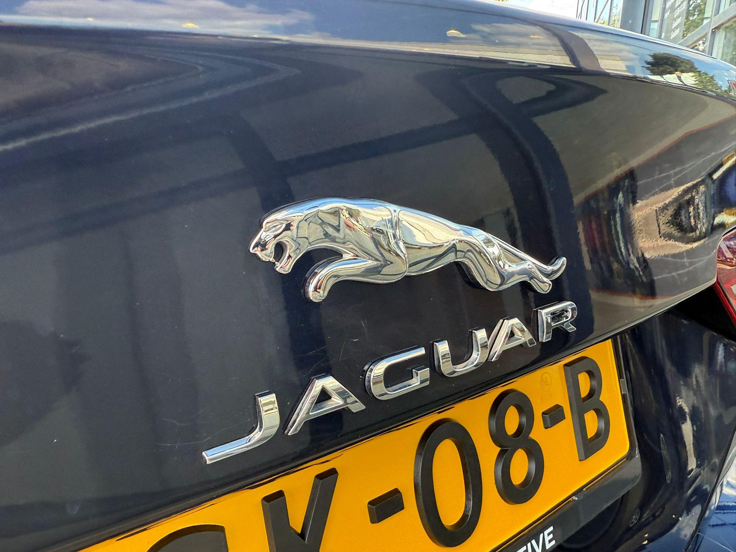 Jaguar Jaguar