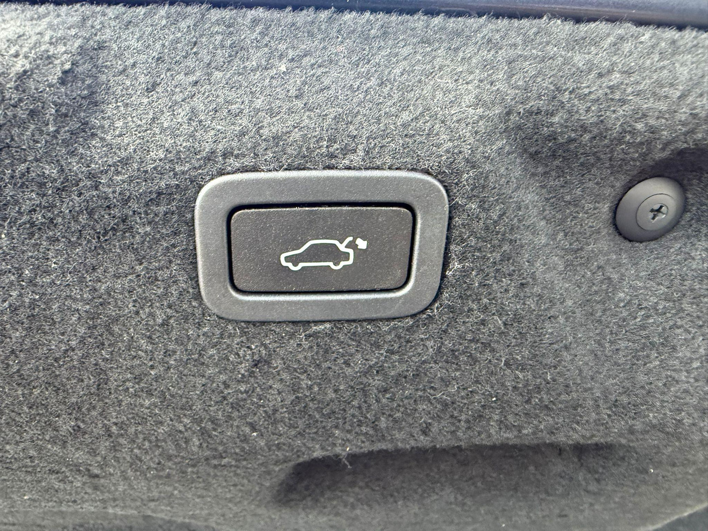Jaguar Jaguar
