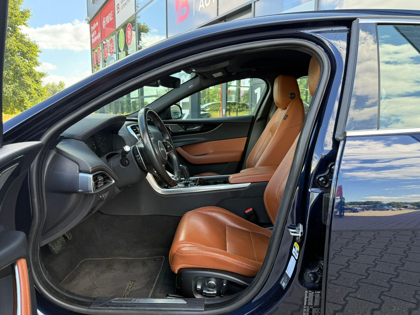 Jaguar Jaguar