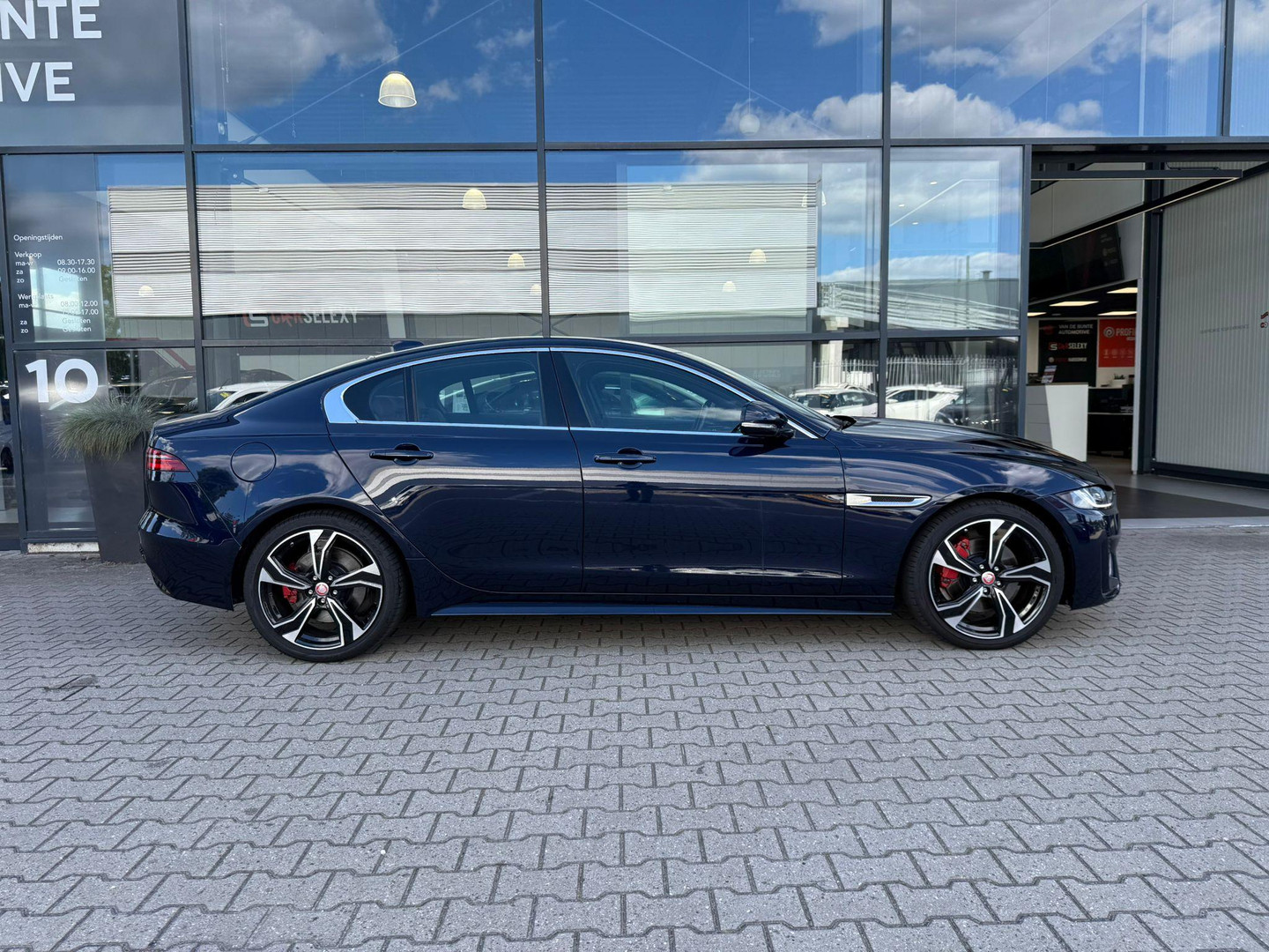Jaguar Jaguar
