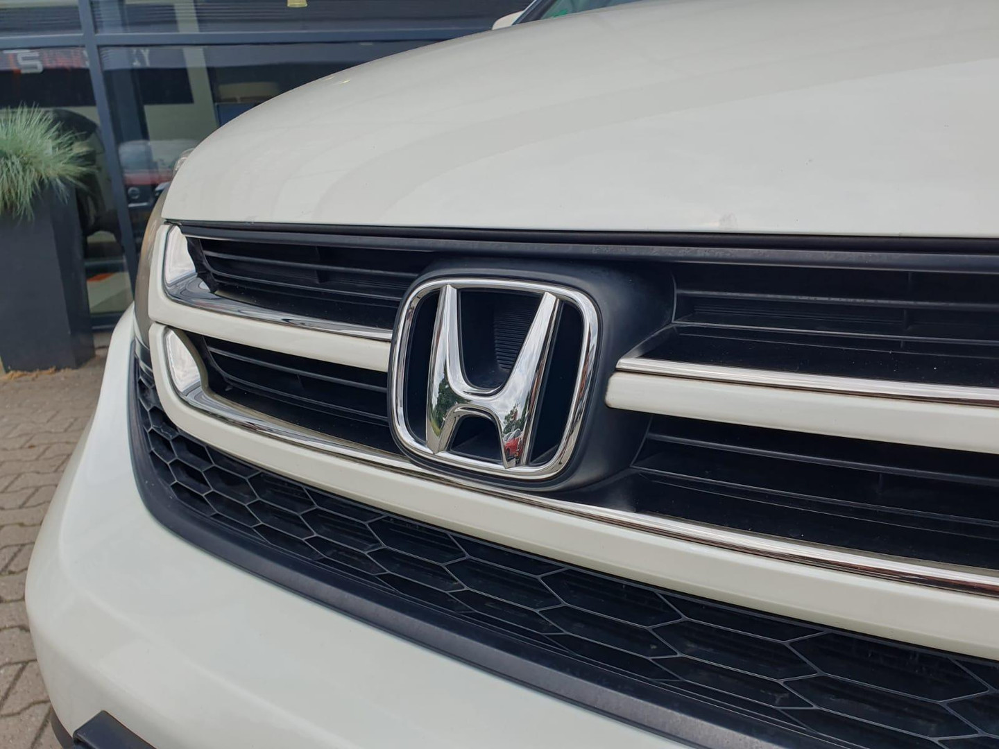 Honda Honda
