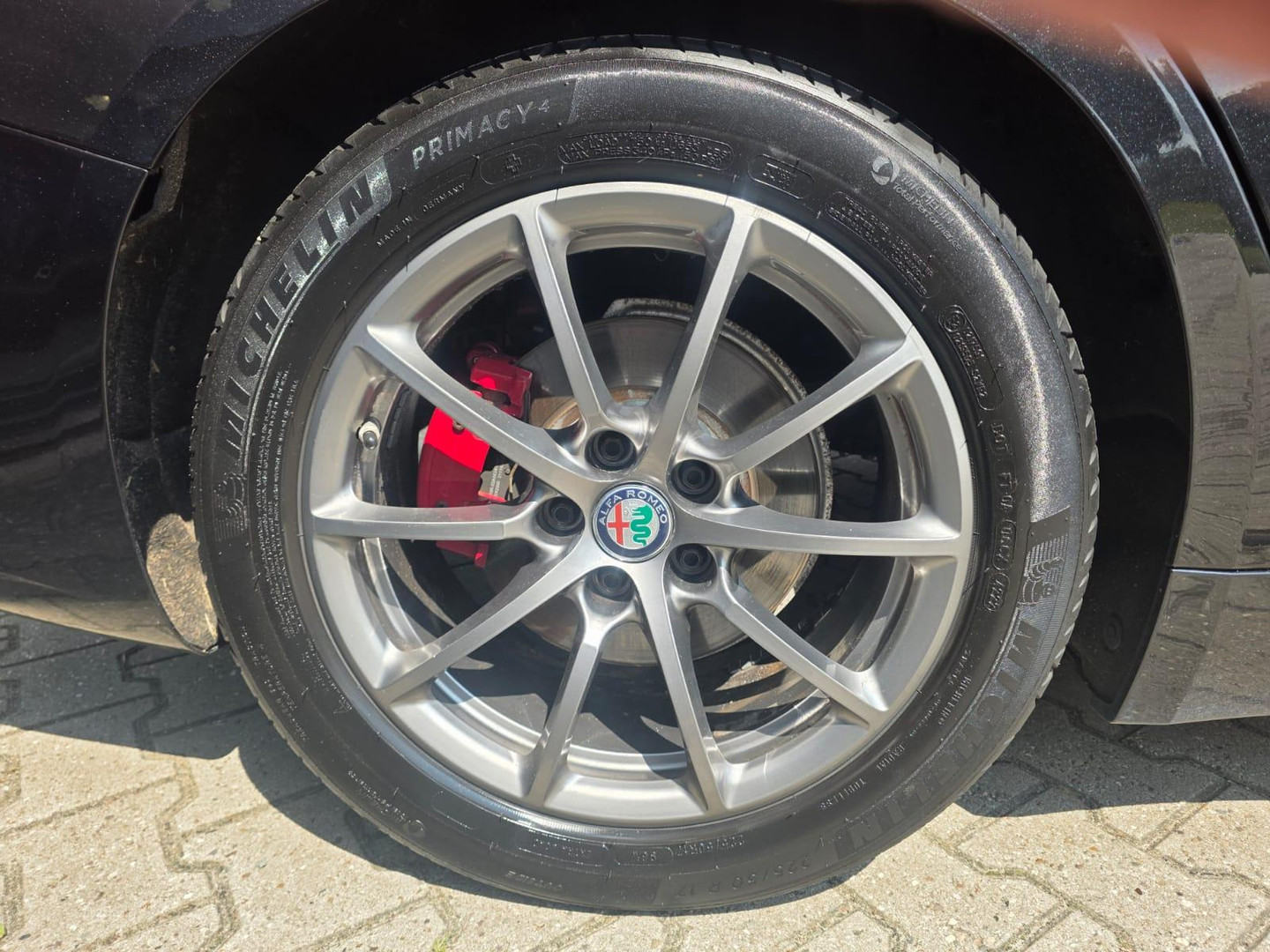 Alfa Romeo Alfa Romeo
