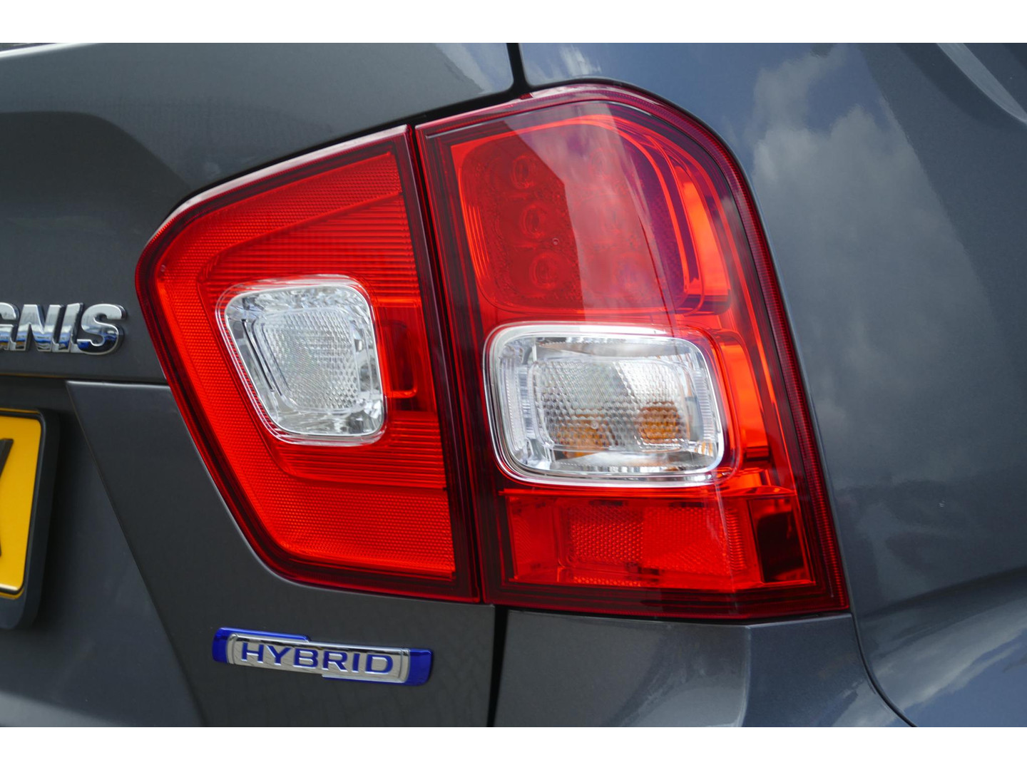 Suzuki Suzuki