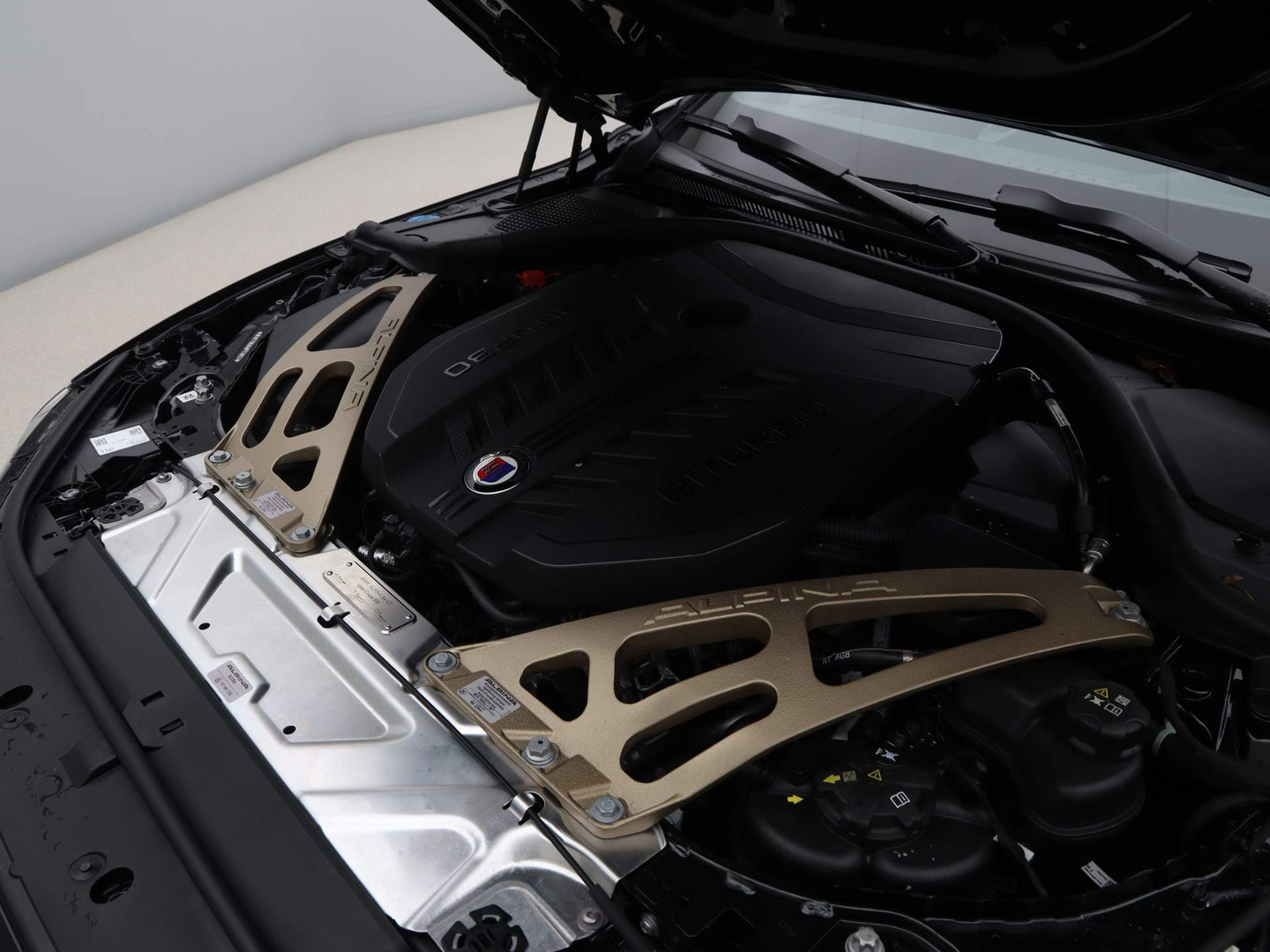 ALPINA