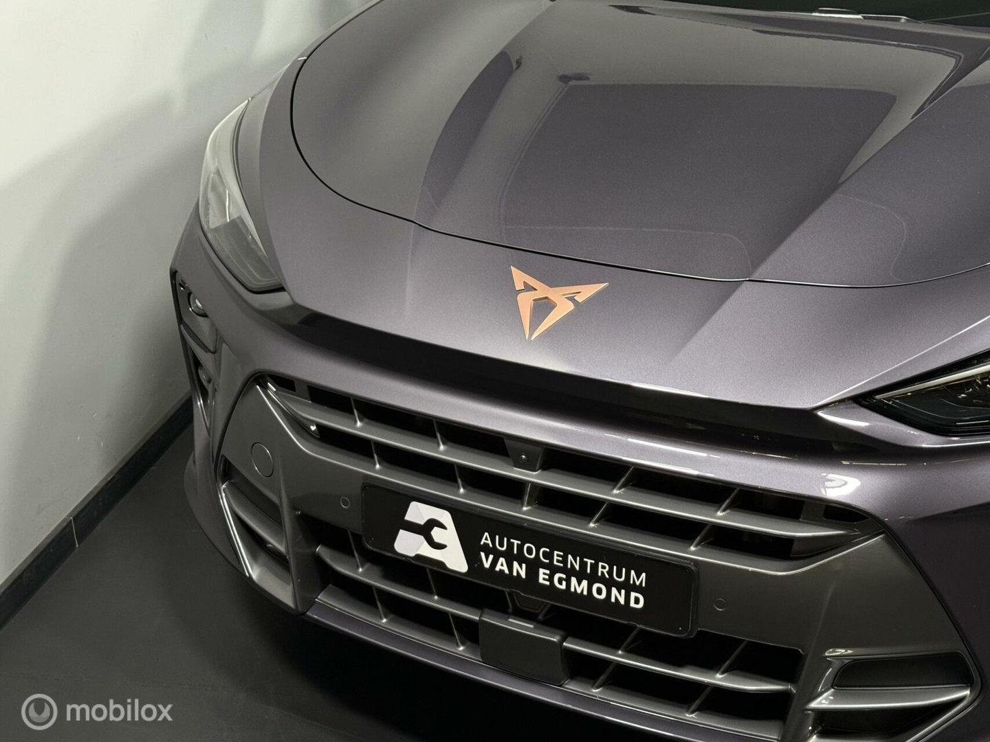 CUPRA CUPRA