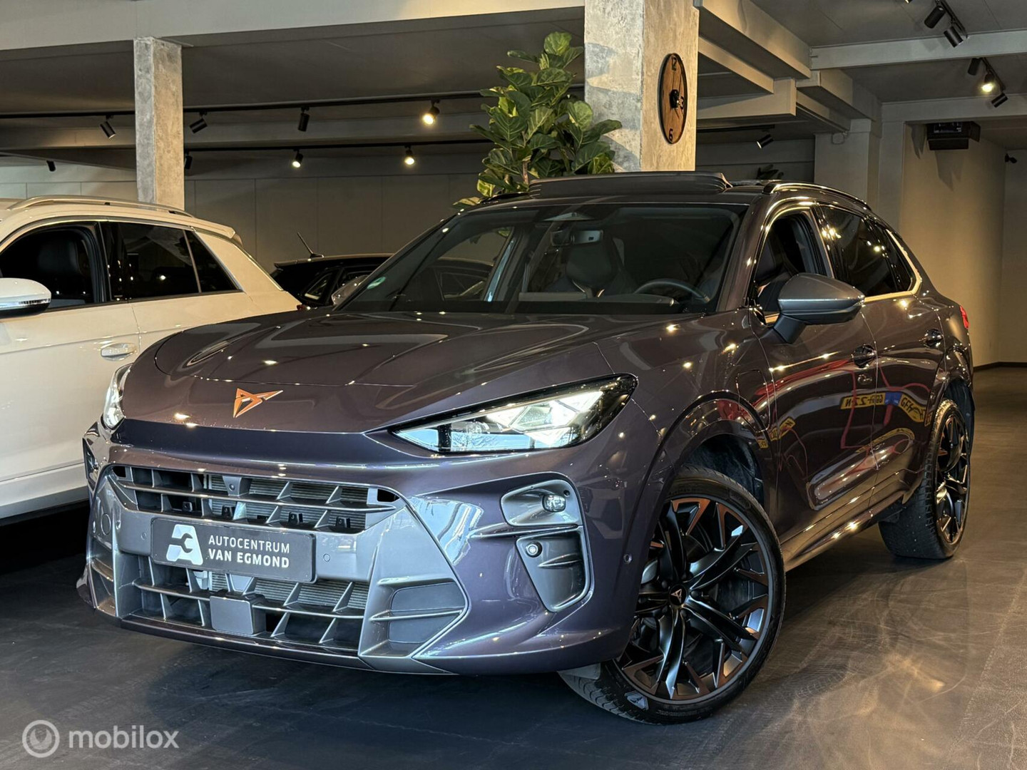 CUPRA CUPRA