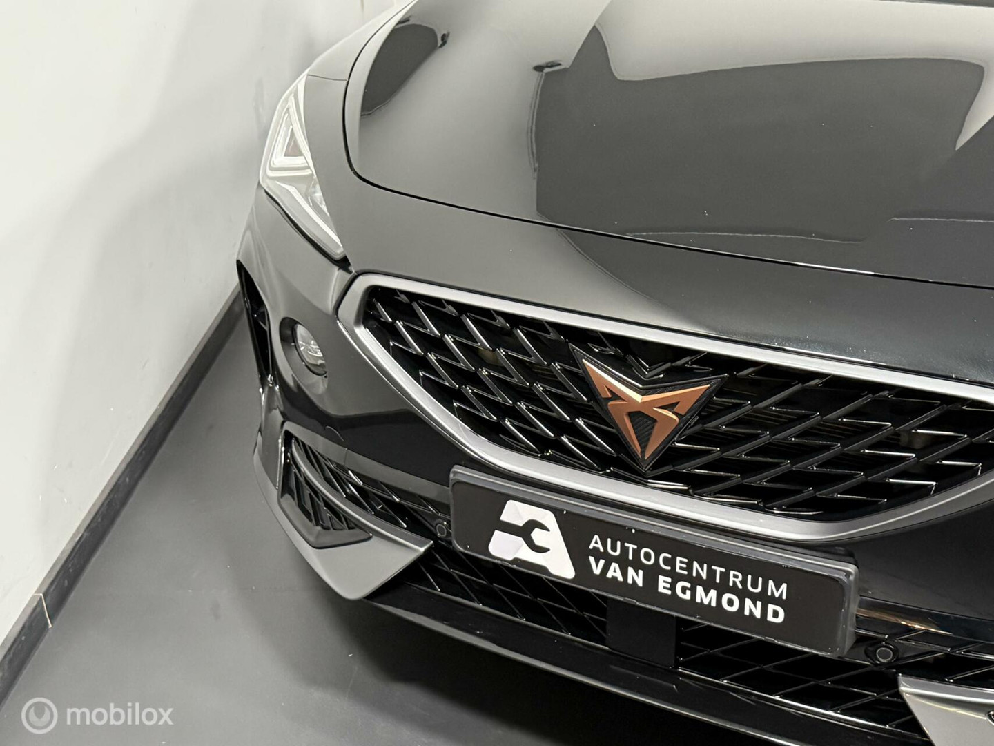 CUPRA