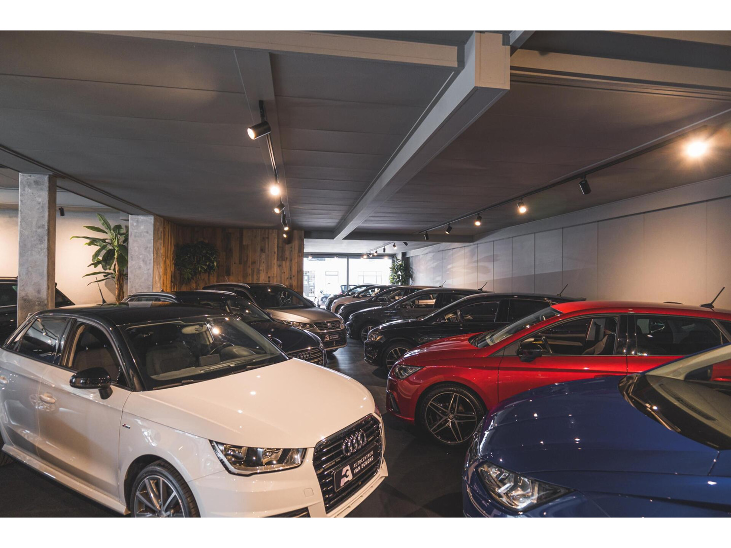 Volkswagen Volkswagen