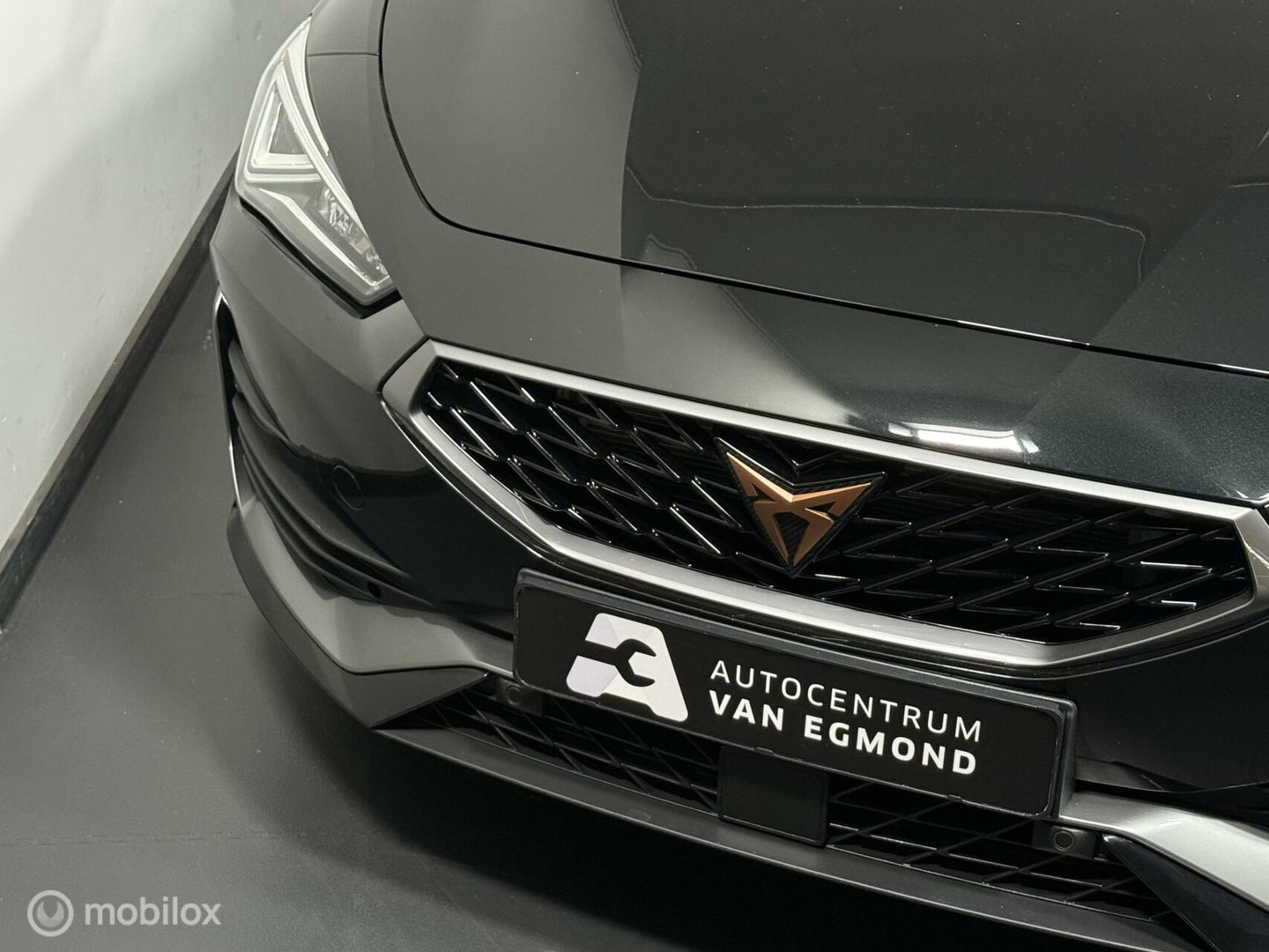 CUPRA CUPRA