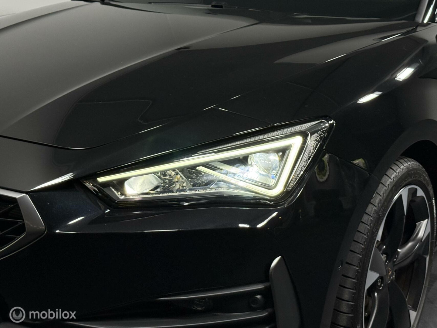 CUPRA CUPRA